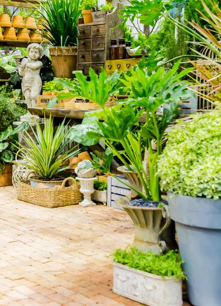 Spazio di lavoro e scaffale con attrezzi da giardino . — Foto Stock