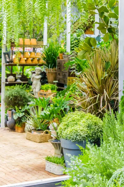 Spazio di lavoro e scaffale con attrezzi da giardino . — Foto Stock