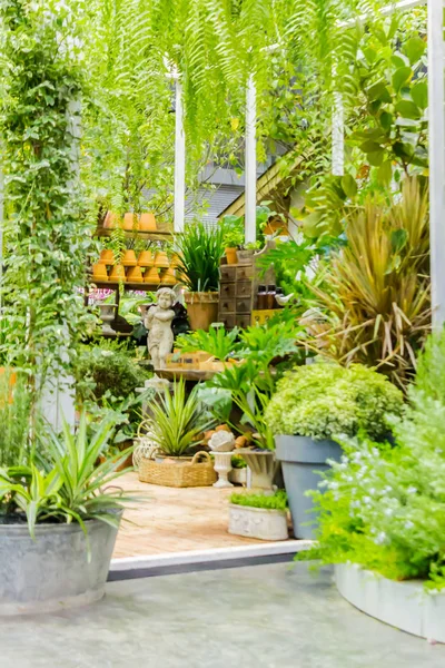 Espacio de trabajo y estante con herramientas de jardín . — Foto de Stock