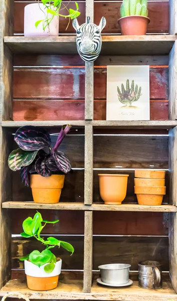 Working space and shelf with garden tools. — Stock Photo, Image