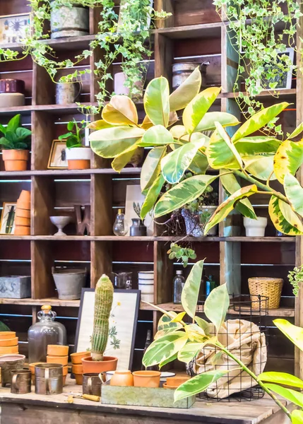 Spazio di lavoro e scaffale con attrezzi da giardino . — Foto Stock