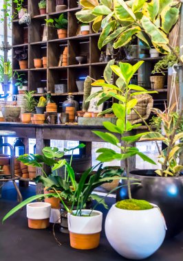 Bahçe araçlarıyla çalışma alanı ve raf.