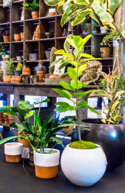 Bahçe araçlarıyla çalışma alanı ve raf.