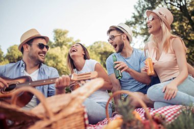 piknik ve gitar Park güneşli günde arkadaşları