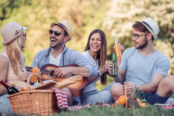 Счастливые Юные Друзья Шляпах Солнцезащитных Очках Устраивают Пикник Парке — стоковое фото