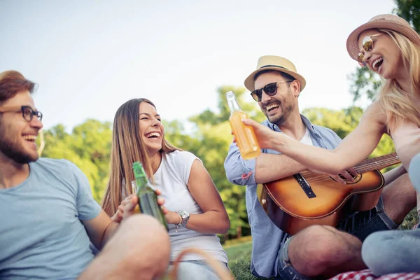 Mutlu genç arkadaşlarım parkta piknik. Onlar tüm mutlu, eğleniyor, gülümseyen ve gitar çalmak vardır.