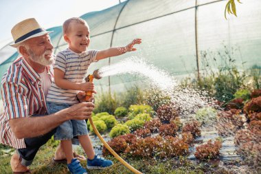 Dedesi ile birlikte salata sulama bahçede çalışan torunu.