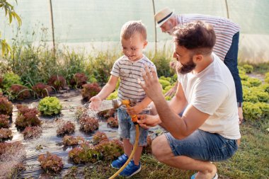 Baba salata sulama bahçede çalışan oğlu ile.
