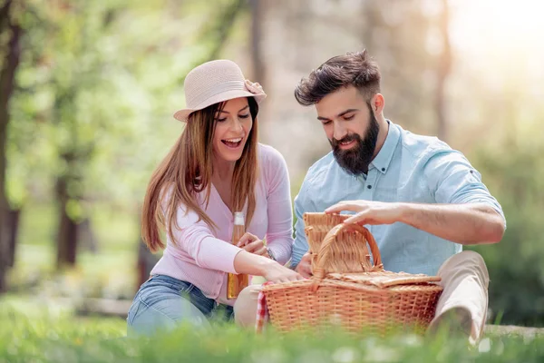 Bir kaç yaz park piknik keyfi. İnsanlar, aşk, eğlenceli ve mutluluk kavramı.