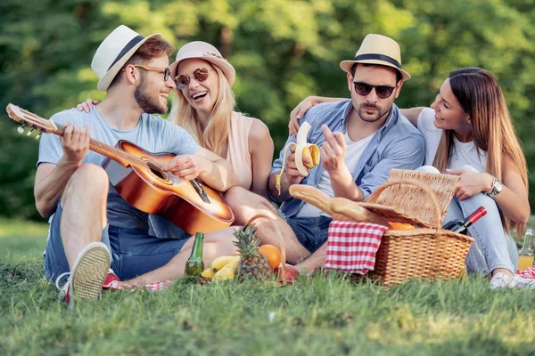 Felices Jóvenes Amigos Haciendo Picnic Campo Todos Son Felices Divertidos —  Fotos de Stock