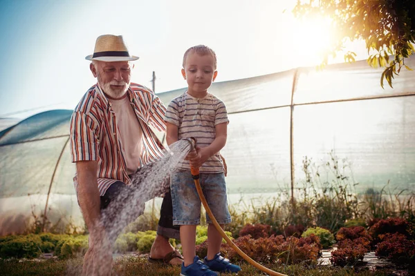 Dedesi ile birlikte birlikte keyfini bahçede çalışan torunu.