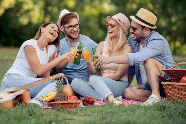 Boldog Fiatal Barátai Amelyek Piknik Országban Minden Boldog Szórakozás Mosolyogva — Stock Fotó