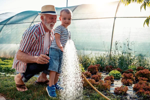 Farfar Med Barnbarn Kul Trädgården — Stockfoto