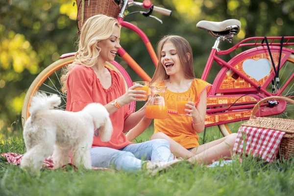 Madre Figlia Divertono Nel Parco Famiglia Amore Felicità Concetto — Foto Stock