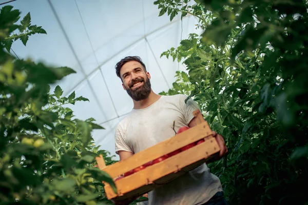 Tuinman Werken Zijn Kas — Stockfoto