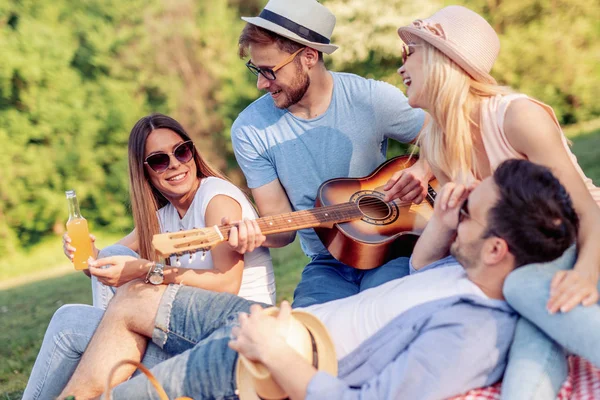 Mutlu genç arkadaşlar ülkede piknik. Onlar tüm mutlu, eğleniyor, gülümseyen ve birlikte zevk vardır.