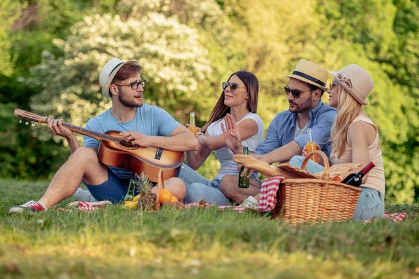 Mutlu genç arkadaşlar ülkede piknik. Onlar tüm mutlu, eğleniyor, gülümseyen ve birlikte zevk vardır.