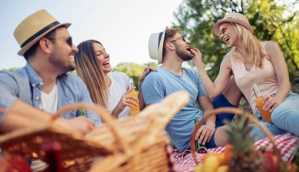 Glada Unga Vänner Picknick Parken — Stockfoto