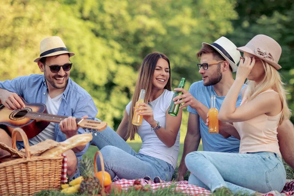 Happy young friends having picnic in the country.They are all happy,having fun,smiling and enjoying together.