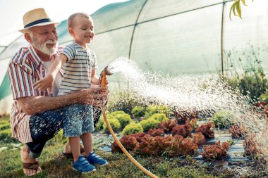 Dede ile torunu çalışma ve birlikte yaz bahçesinde oynarken zevk