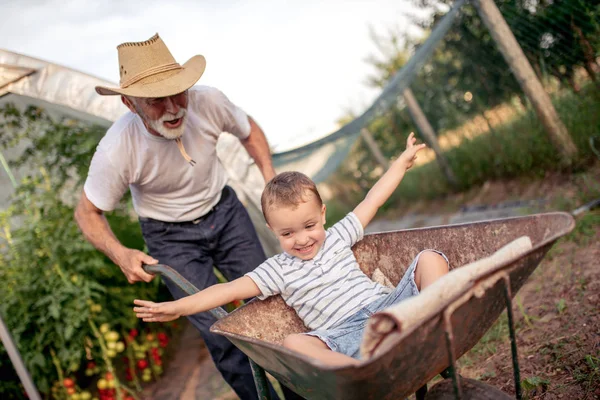 Avô Feliz Com Neto Gostando Trabalhar Juntos Jardim — Fotografia de Stock