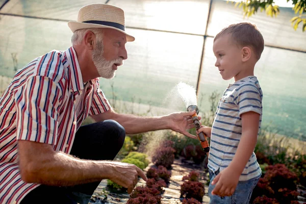 Avô Com Seu Neto Trabalhando Jardim Desfrutando Juntos — Fotografia de Stock