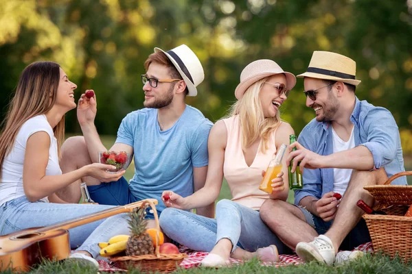 Boldog Barátok Parkban Piknikeznek Egy Napsütéses Napon — Stock Fotó