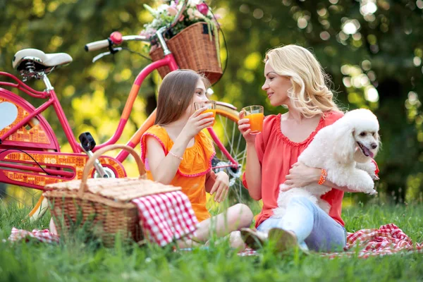 Family having picnic in summer park. Mother, daughter and their little dog enjoy in park.