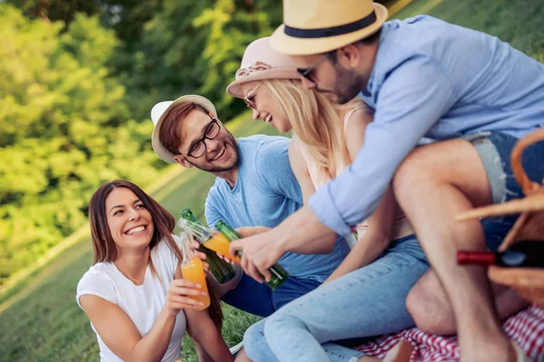 Gruppe Junger Freunde Genießt Picknick Park — Stockfoto