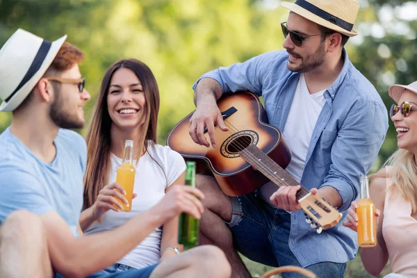 Summer, vacation, music and recreation time concept. Cheerful four friends enjoying on picnic.