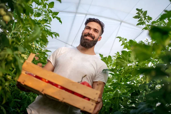 Tuinman Werken Kas Close — Stockfoto