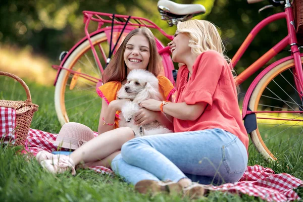 春の公園で彼女の娘と幸せな若い母親 彼らは犬と遊ぶ — ストック写真
