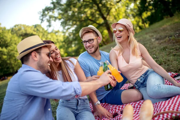 Grupa Młodych Przyjaciół Ciesząc Się Czas Piknik — Zdjęcie stockowe