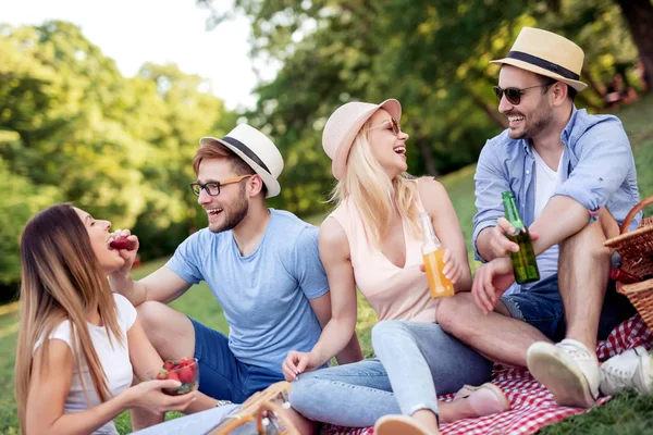 Gruppe Von Freunden Genießt Picknick Park — Stockfoto