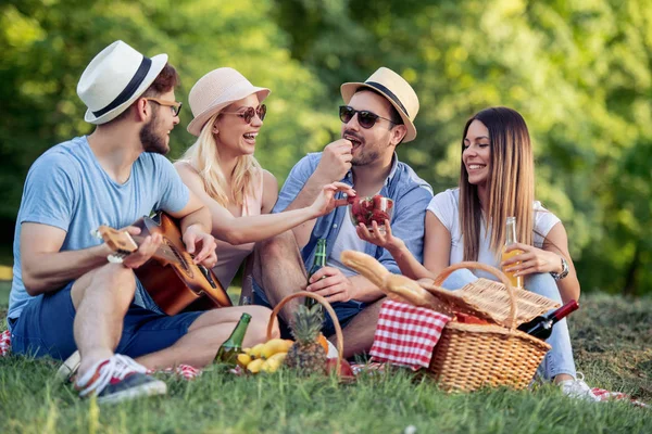 Gruppe Von Freunden Genießt Picknick Park — Stockfoto