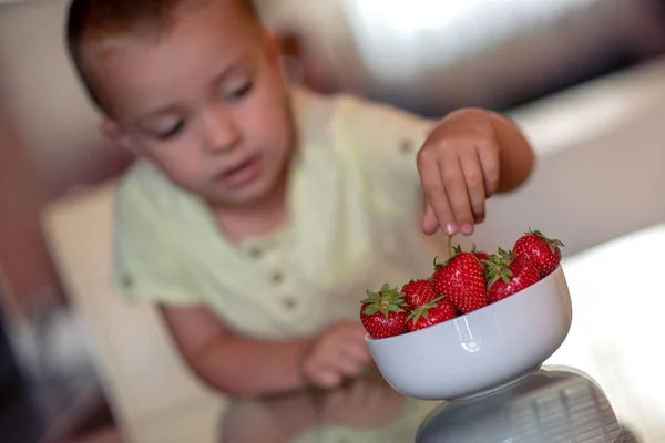 Niño Comiendo Fresas Dulces Frescas Tazón —  Fotos de Stock
