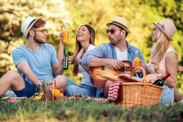 Summer, vacation, music and recreation time concept. Cheerful four friends have picnic in the park.