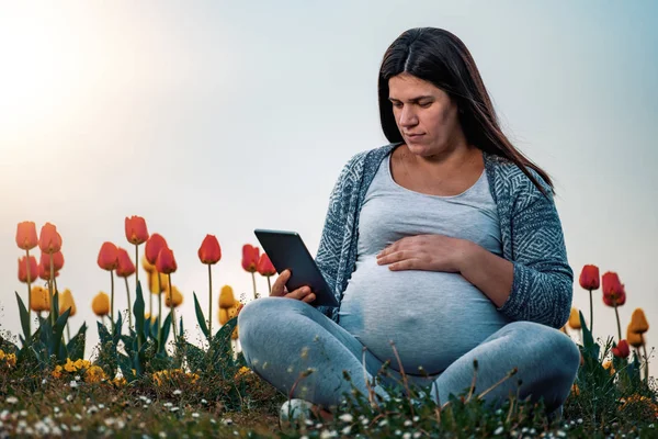 Έγκυος Γυναίκα Που Χαλαρώνει Στο Πάρκο Χρησιμοποιώντας Tablet — Φωτογραφία Αρχείου