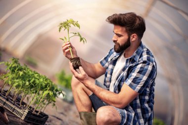 Serada çalışan genç bir adamın portresi