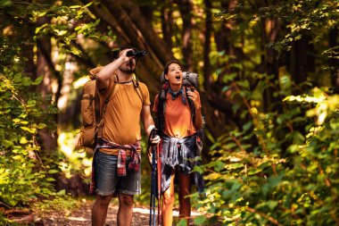 Ormanda sırt çantalarıyla yürüyen neşeli bir çift. İnsanlar, seyahat, turizm ve kamp konsepti.