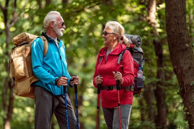 Senior couple of hikers walking in the forest. clipart