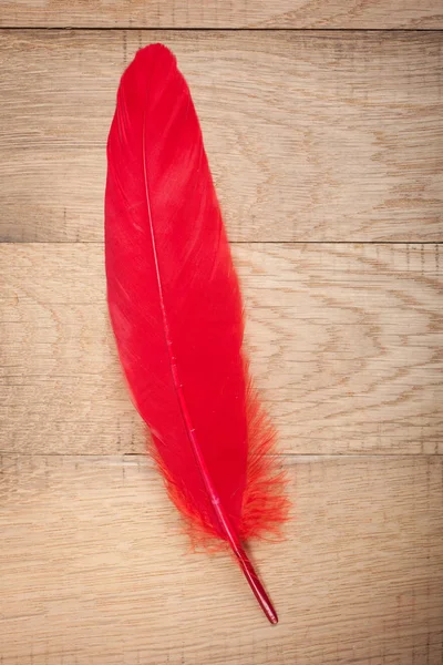 Red Feather Wooden Background — Stock Photo, Image