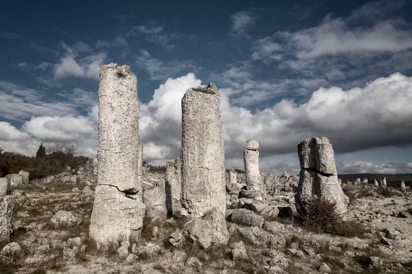 Versteend Bos Buurt Van Varna Bulgarije Pobiti Kamani Rock Fenomeen — Stockfoto