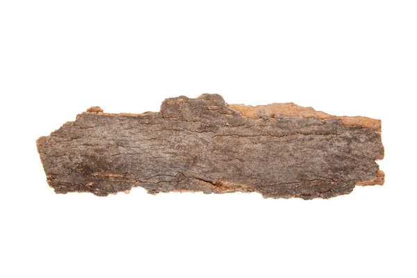 Piece Dry Tree Bark Isolated White — Stock Photo, Image