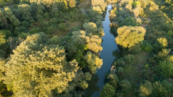 Αεροφωτογραφία Του Ποταμού Και Όμορφο Δάσος Ποταμός Καμχιά Στη Βουλγαρία — Φωτογραφία Αρχείου