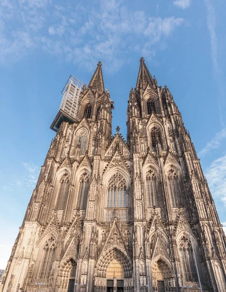 Deutschland Köln Der Berühmte Dom — Stockfoto