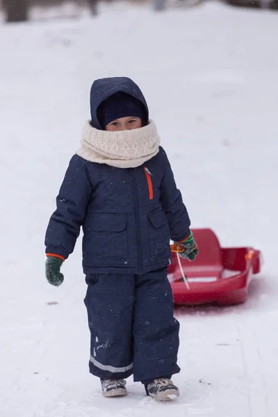 Ragazzino Con Cappotto Caldo Cappello Che Tira Slitta Nella Fredda — Foto Stock