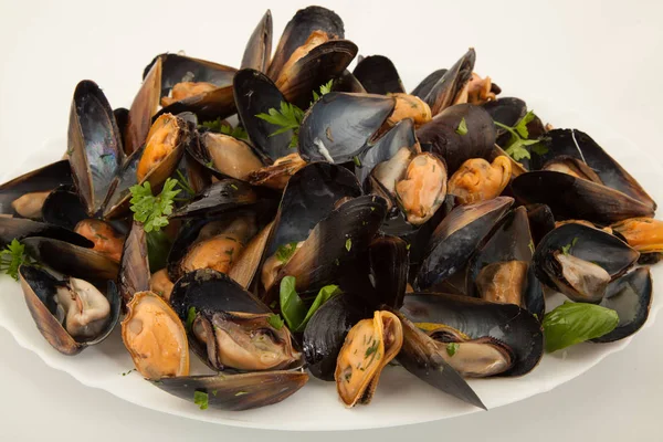 Big Group Steamed Fresh Mussels White Plate — Stock Photo, Image