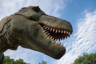 Tyrannosaurus Rex gerçekçi bir model. Ağzını açıp dinozora yaklaş.