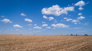 sürülmüş ekili yer, alan ve bulutlu mavi gök. 